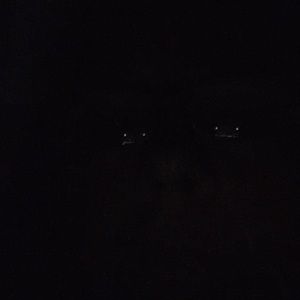 Meet your Posher, Georgetta